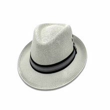 Load image into Gallery viewer, Panama Fedora Hat- Light Grey