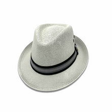 Load image into Gallery viewer, Panama Fedora Hat- Light Grey
